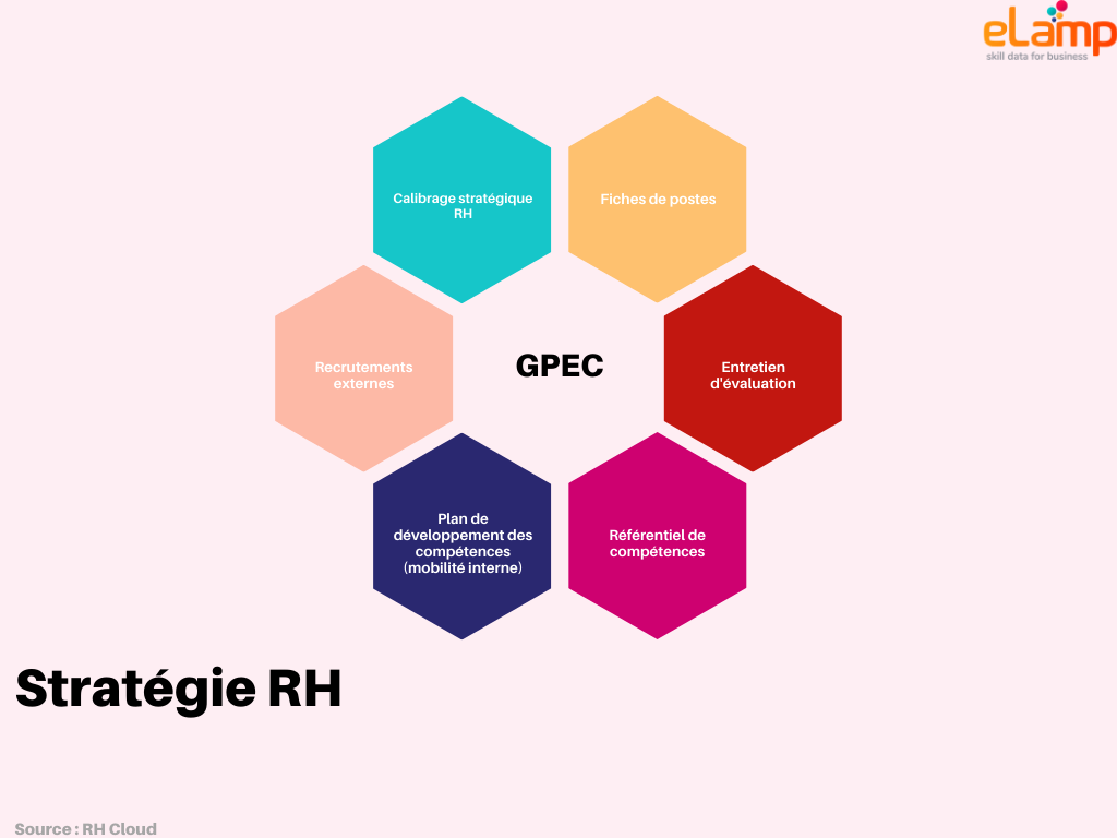 stratégie rh gpec elamp